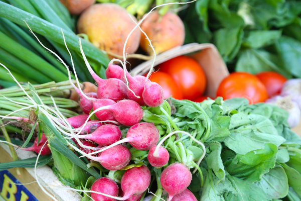 Vegetable CSA 2026